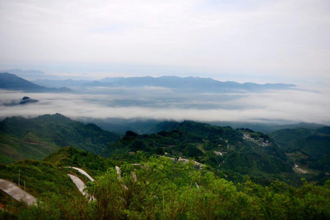 寻找答案,尽在你会因为房地产政策,而倾向于生三胎吗?交流平台