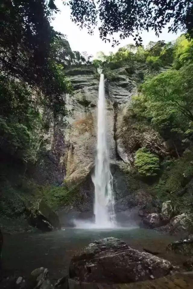 怎样做简单乒乓球胶水- 发现与分享的红迪网平台